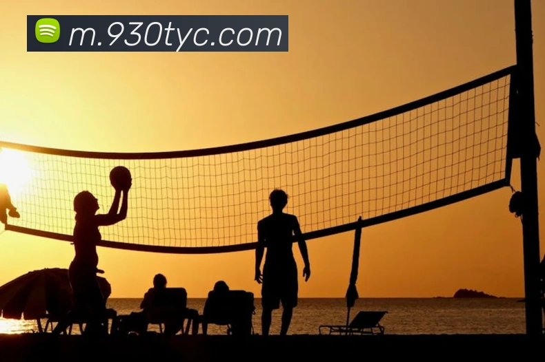 太阳城平台生态图